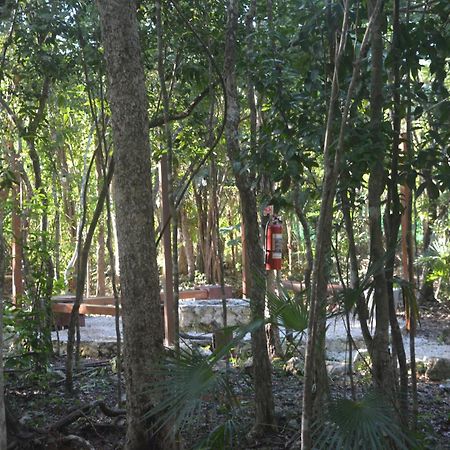 Glamping Mayan Glam Tulum Exteriör bild