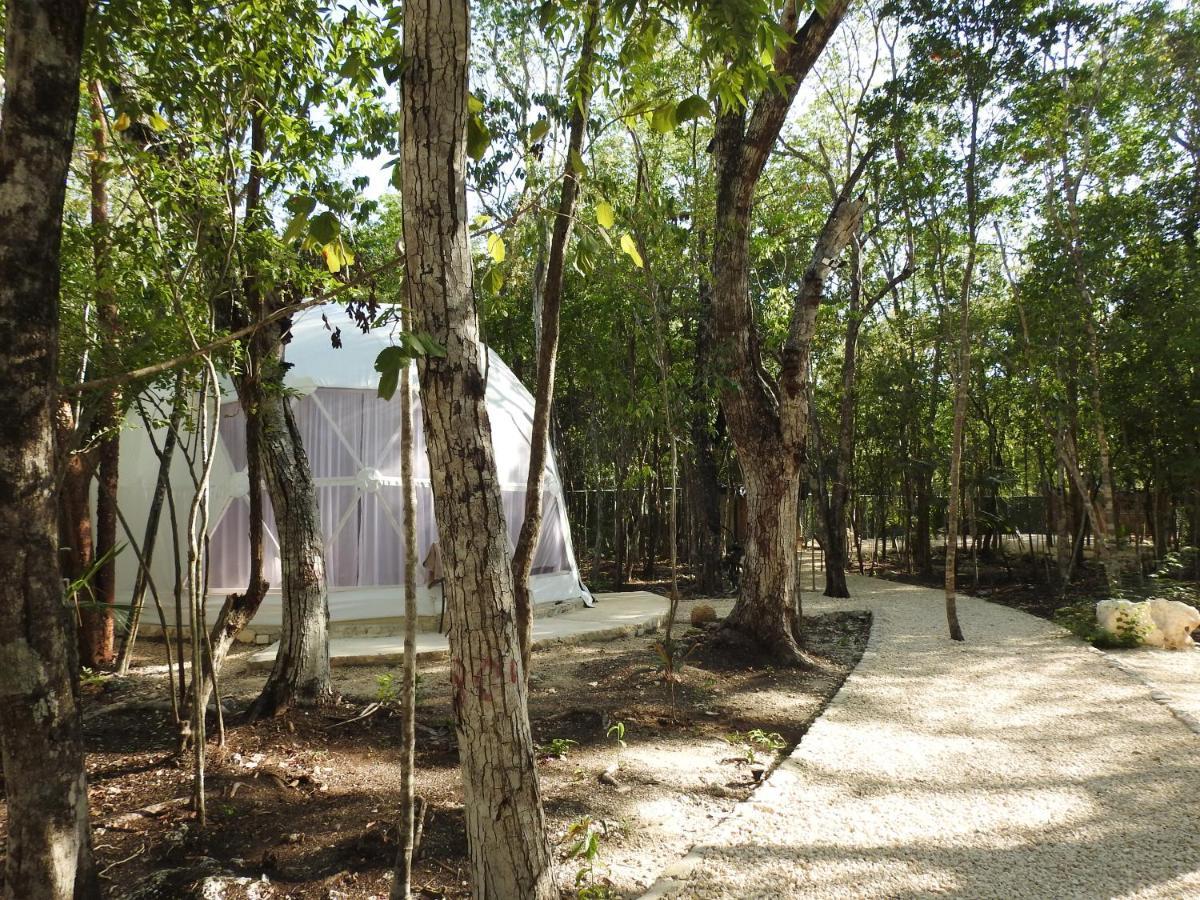 Glamping Mayan Glam Tulum Exteriör bild