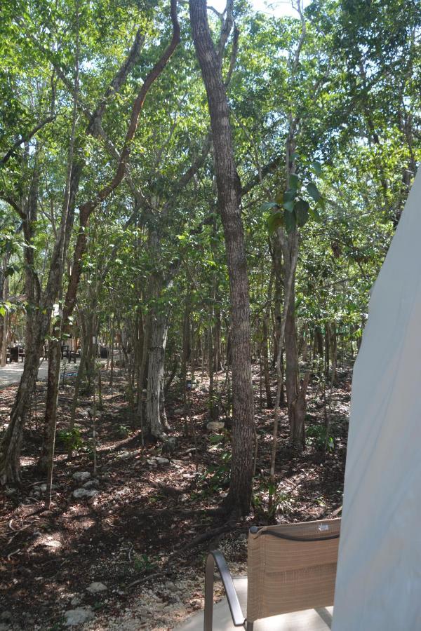 Glamping Mayan Glam Tulum Exteriör bild