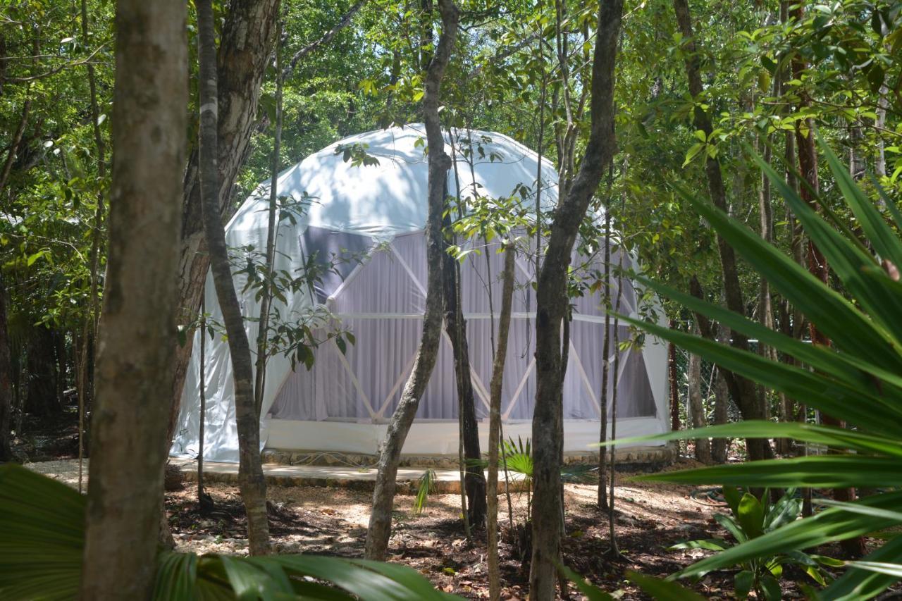 Glamping Mayan Glam Tulum Exteriör bild