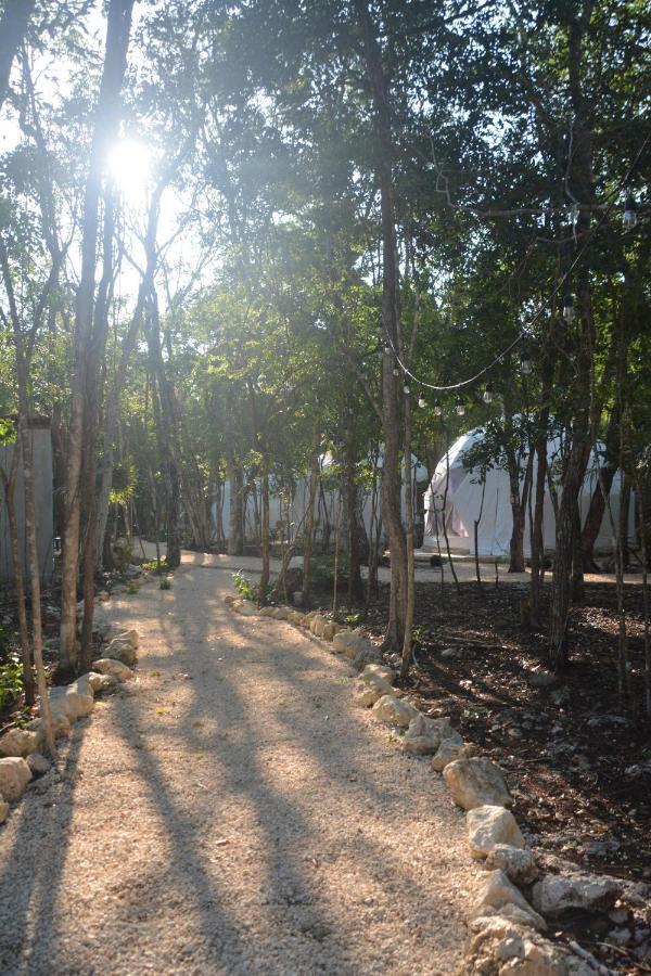 Glamping Mayan Glam Tulum Exteriör bild