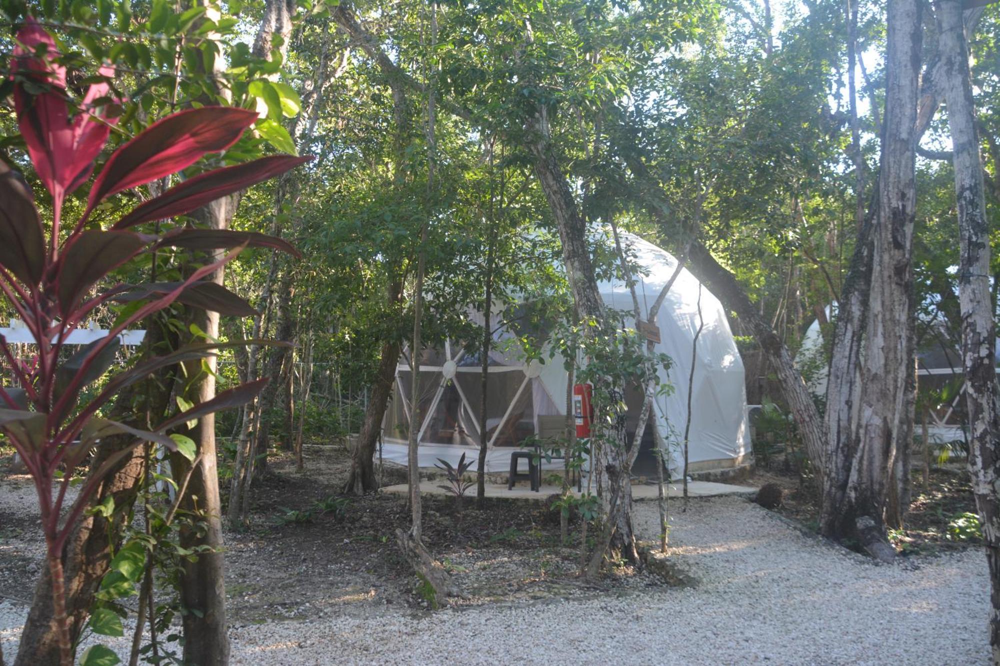 Glamping Mayan Glam Tulum Exteriör bild